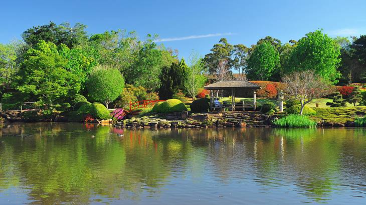 A Japanese garden along water in Toowoomba, Australia