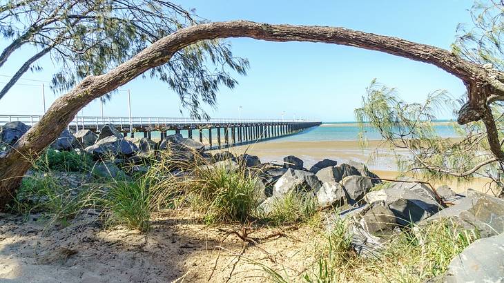 Rocks among sand with a curved tree branch above and a jetty in the back Rocks among sand with a curved tree branch above and a jetty in the back