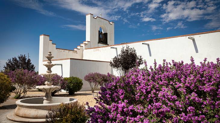 A white concrete building with a fountain and purple flower bushes in the foreground