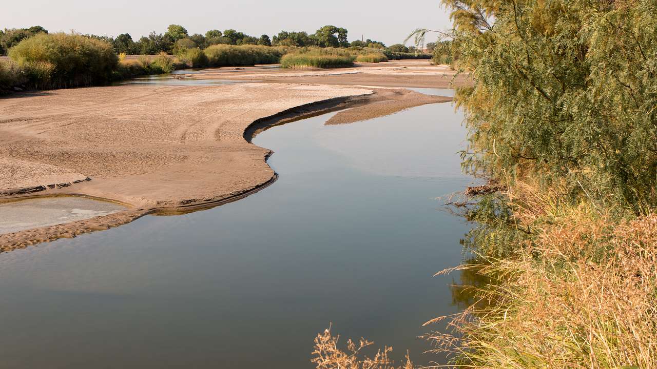 A body of water near dry land and trees