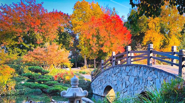 Going to Shinzen Garden is one of the fun things to do in Fresno for couples