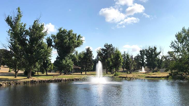 A large pond with a water fountain next to grass and trees under a blue sky