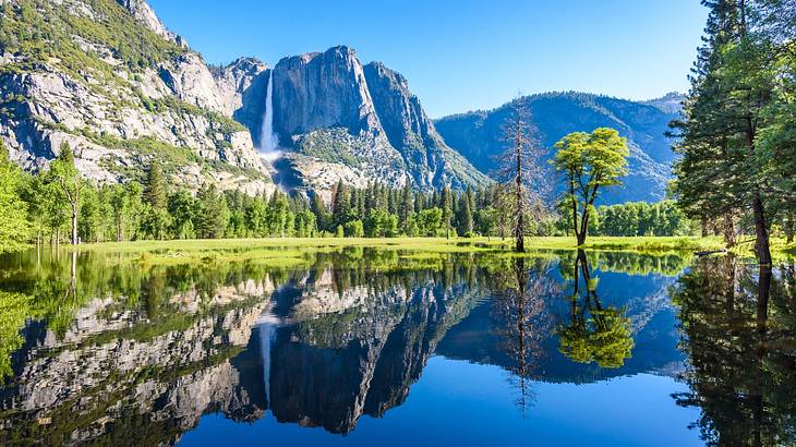 Mountains and trees reflecting into a lake next to them under a blue sky