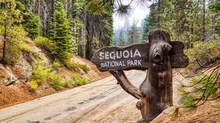 A sign that says "Sequoia National Park" next to a dirt road through a forest