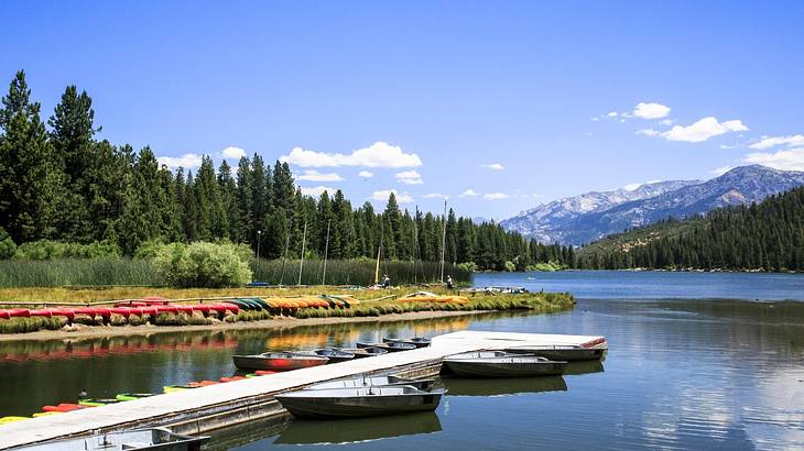 Boats and kayaks moored on the water next to a forest and mountains