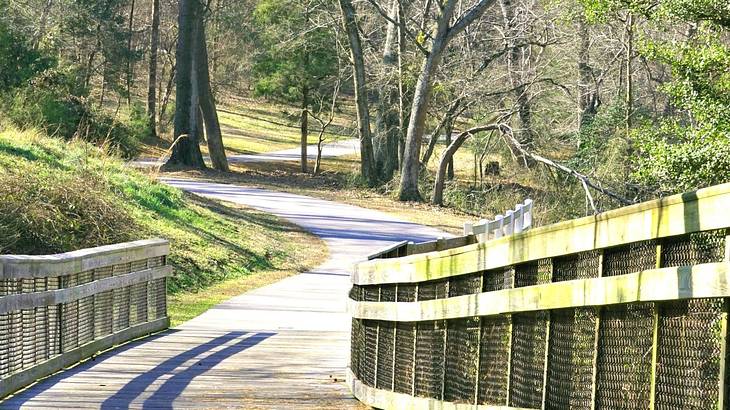 A path over a wooden bridge leading into woodland