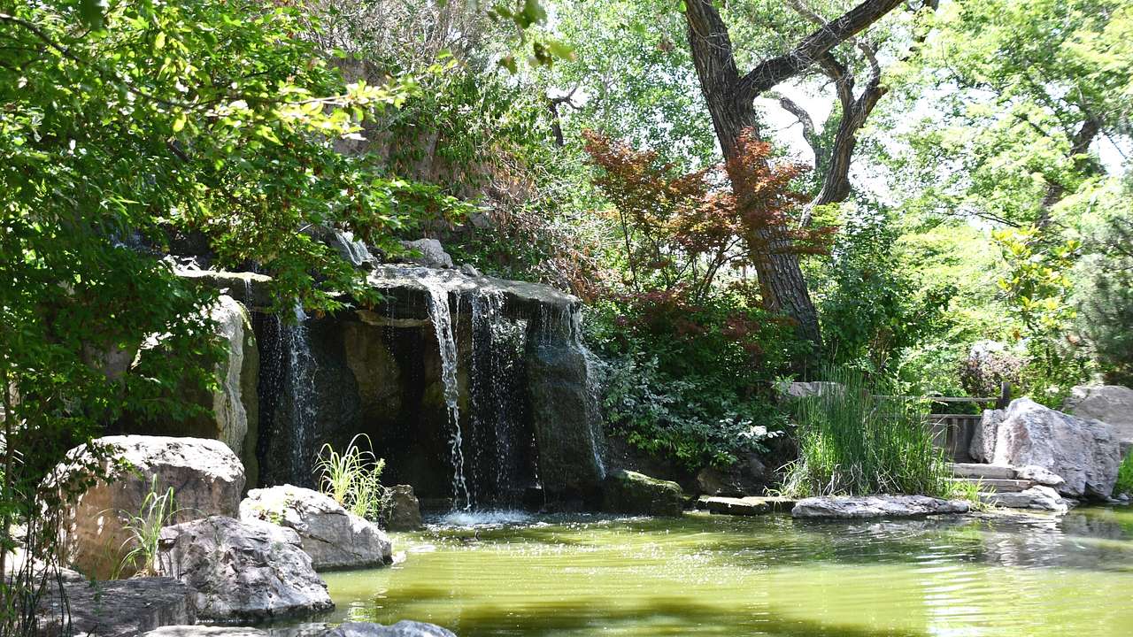 A small waterfall flowing into a pond surrounded by trees and rocks