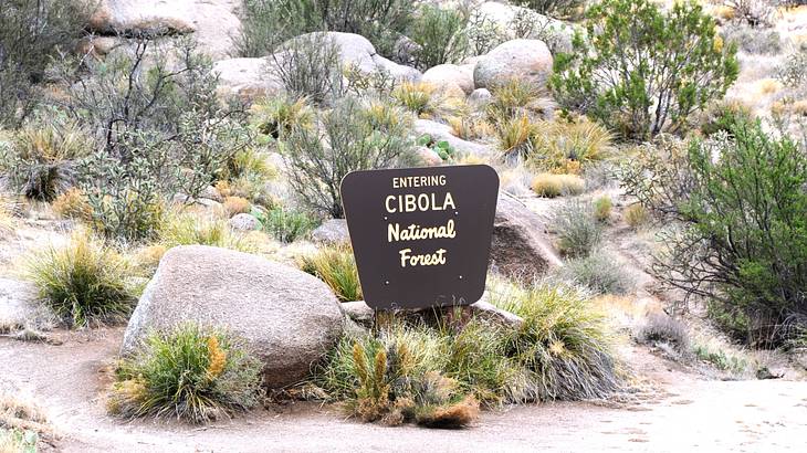 A sign that says "Cibola National Forest" surrounded by rocks and greenery
