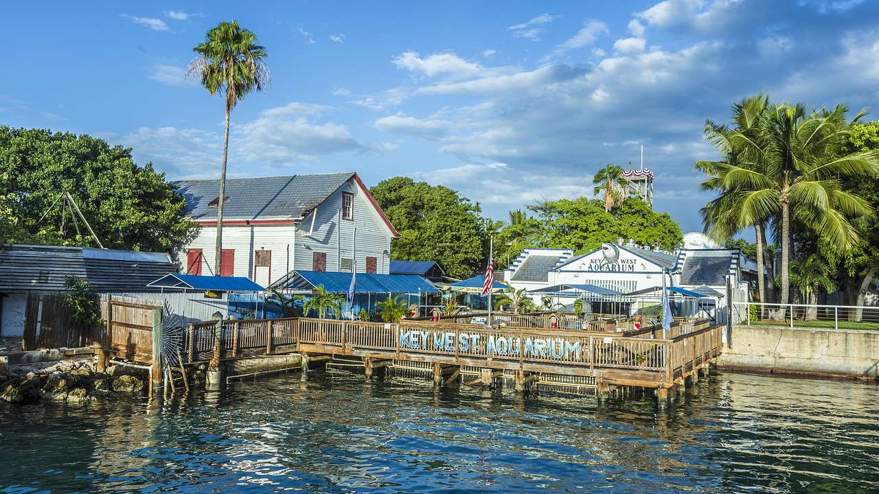 A white building and small pier on the water with Key West Aquarium sign and palms