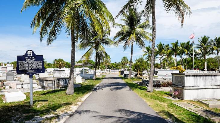 A cemetery with a palm tree-lined path and a sign that says "Key West Cemetery"