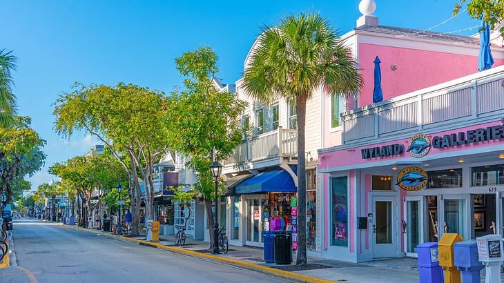 A street with green trees and a pink shop