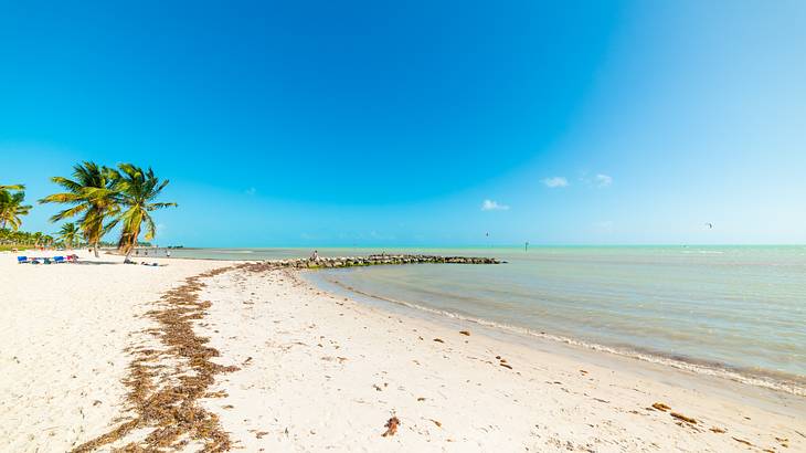 A white sand beach with the ocean to the side and palm trees in the distance