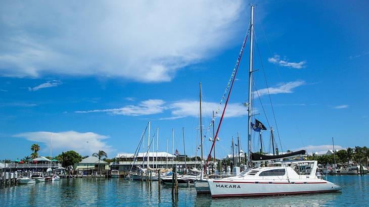 A marina with boats docked in the water