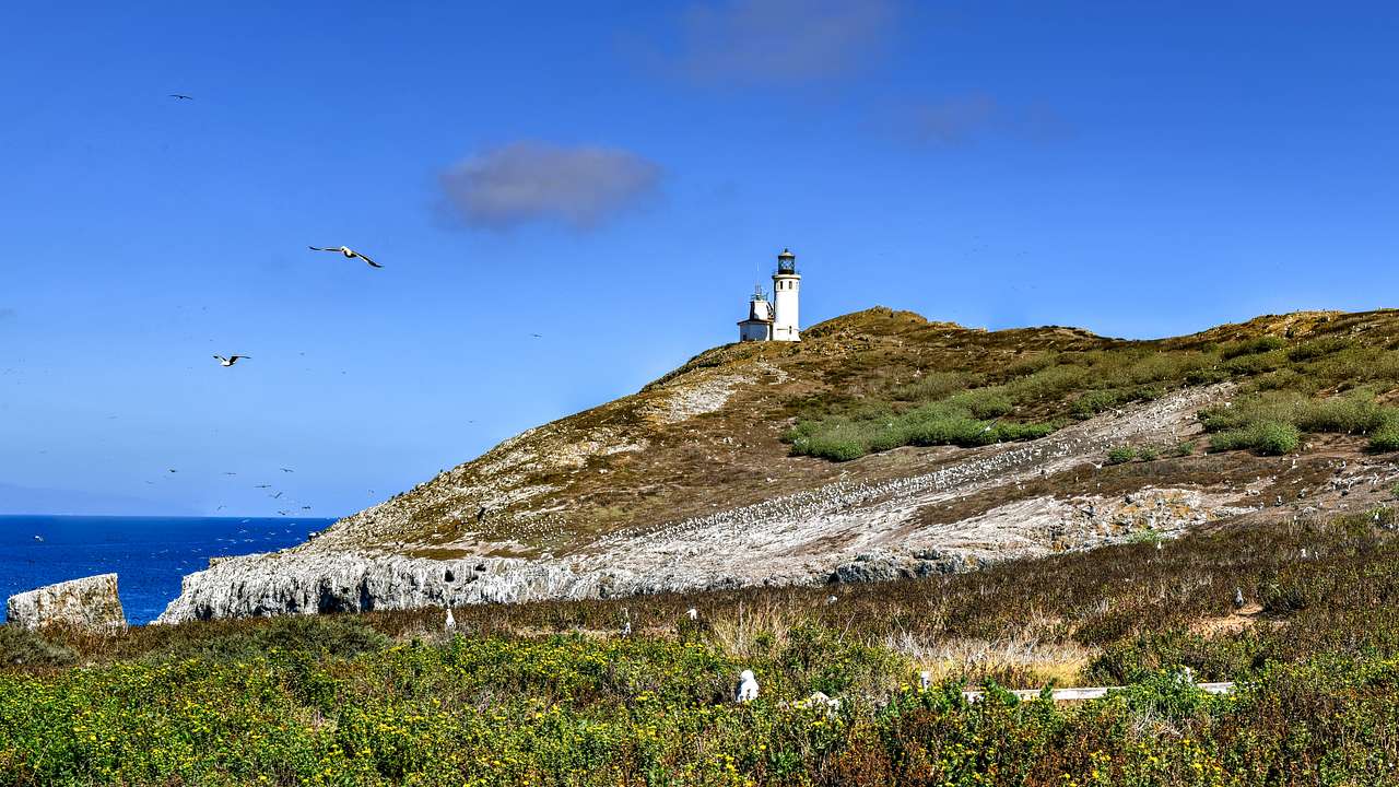 A grassy hill with a lighthouse on top on a nice day