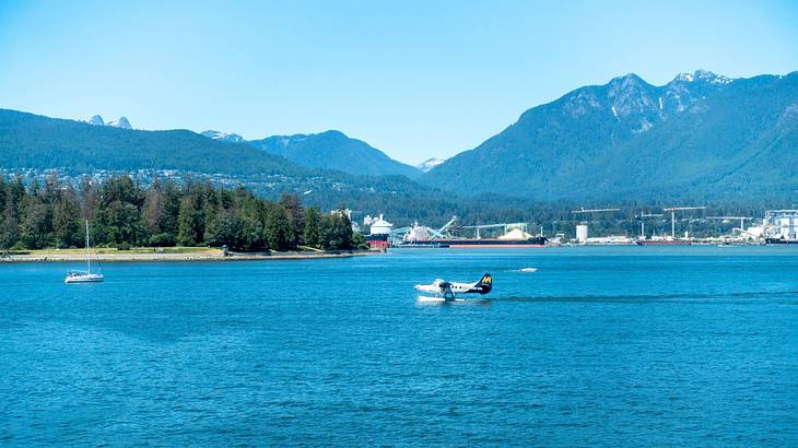 A body of water with a seaplane on it next to mountains and trees