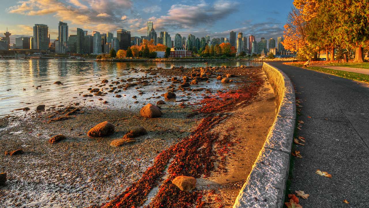 A path beside a seawall with seaweed and rocks at low tide and a city skyline
