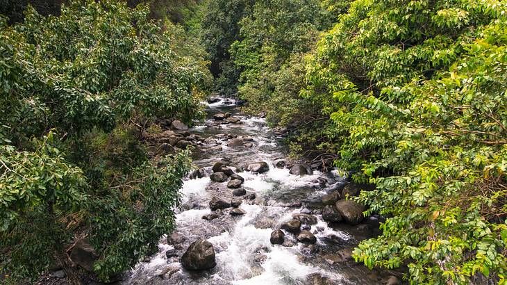 Iao Valley State Park is one of the must-see landmarks in Maui