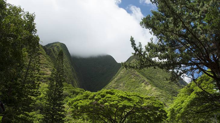 Several mountains rise into the clouds surrounded by trees on a nice day