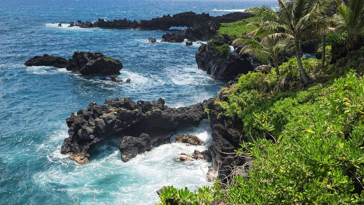 A rocky coast with some greenery, trees, and turquoise waters