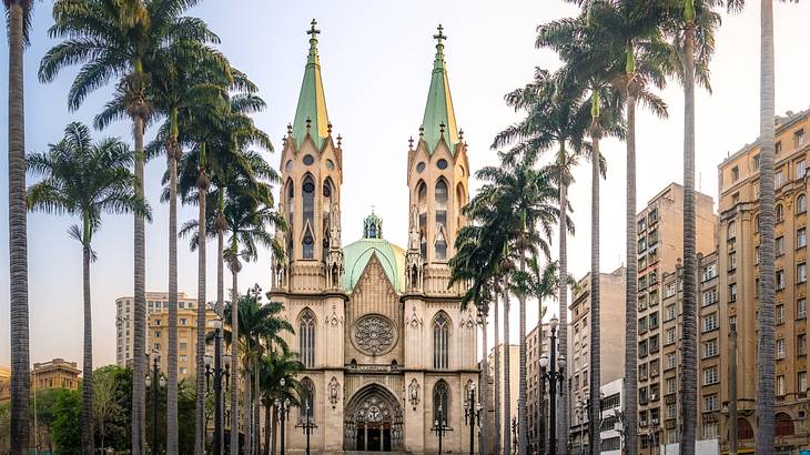 A cathedral with two towers next to lots of palm trees