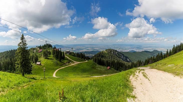 Green mountain top of a ski resort in summer, Brasov, Romania