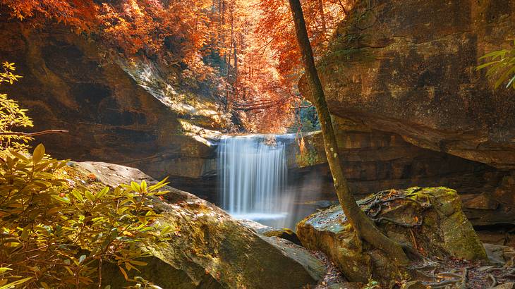 A waterfall going down a rocky cliff surrounded by trees and plants in autumn