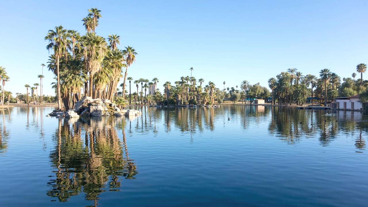 A lagoon surrounded by palm trees that reflect in the water