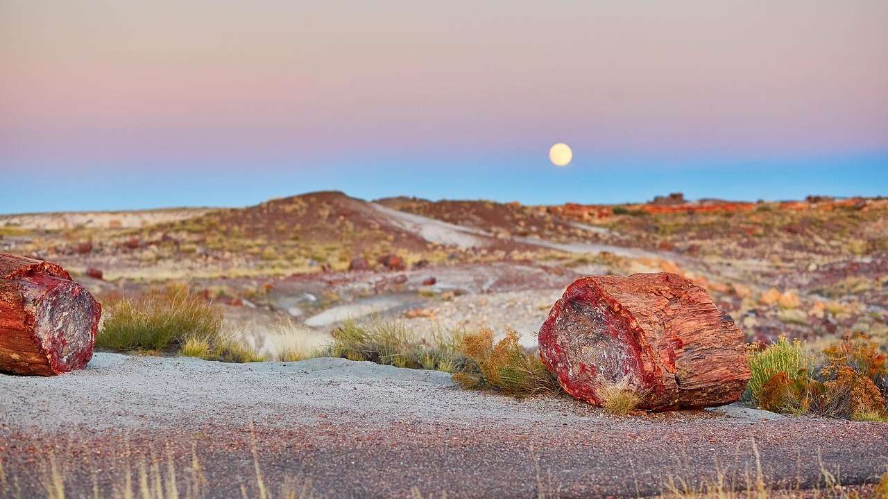 Pieces of petrified wood on a hilly landscape under a purple sky with a full moon