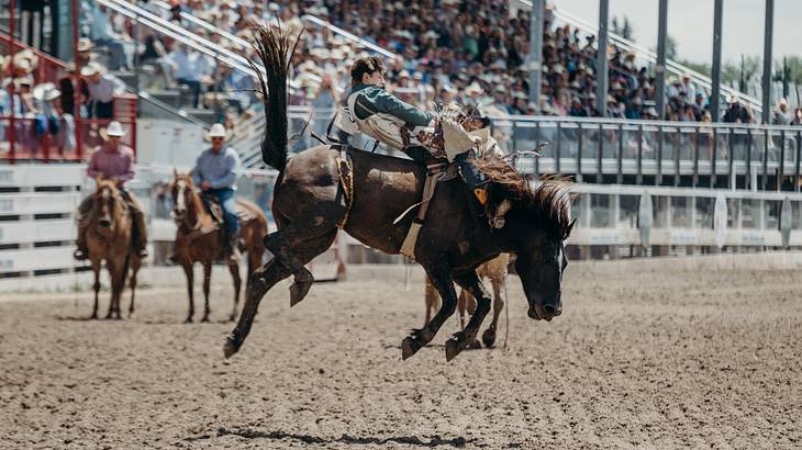 Man on a horse in a rodeo with people watching in the back
