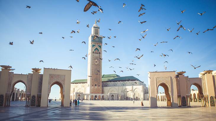 Pigeons flying over a public paved area near a mosque