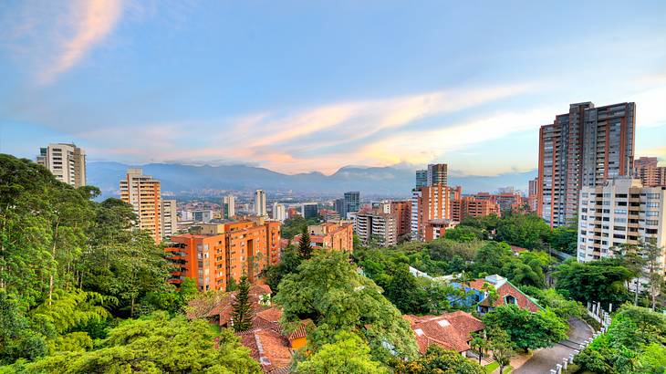 An aerial shot of buildings and structures surrounded by trees