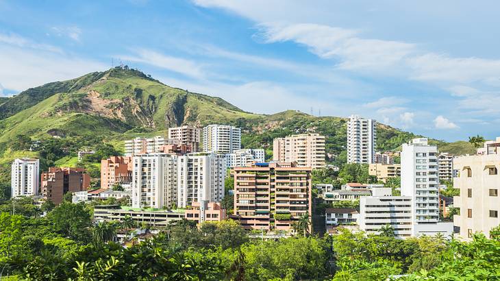 Tall skyscrapers surrounded by a lush forest and a mountain