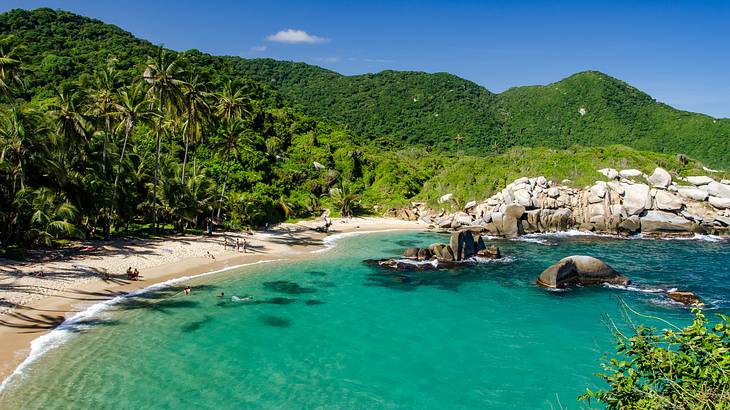 A cove with turquoise water next to rock formations and lush mountains