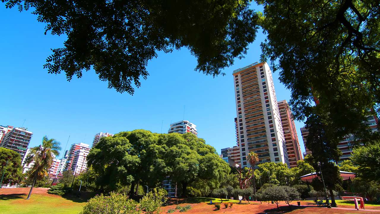A landscaped park with many trees and skyscrapers in the background