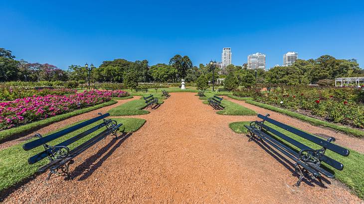 A landscaped garden with park benches