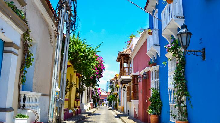 An empty street in the middle of adjacent colorful houses