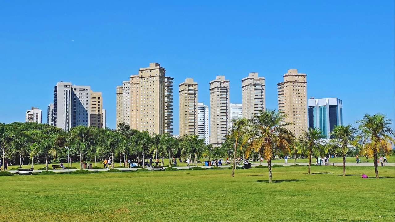 Green grass next to palm trees and tall city buildings under a clear blue sky