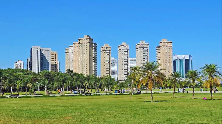 Green grass next to palm trees and tall city buildings under a clear blue sky