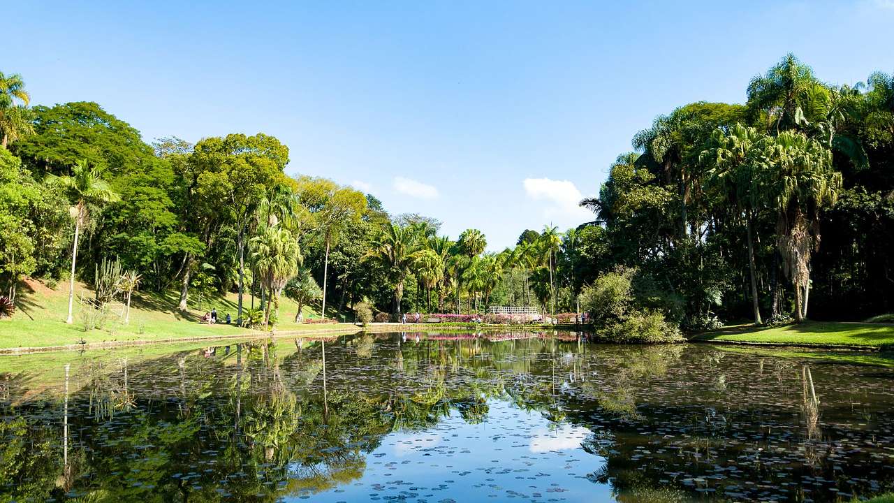 A lagoon with green trees surrounding it under a blue sky