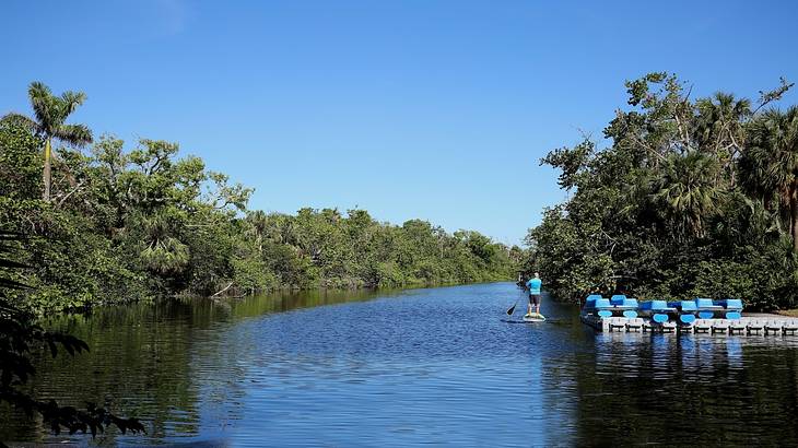 A person paddleboarding on the water surrounded by green trees