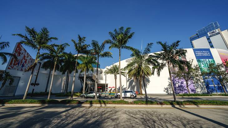 A museum building next to lots of palm trees and a road under a blue sky