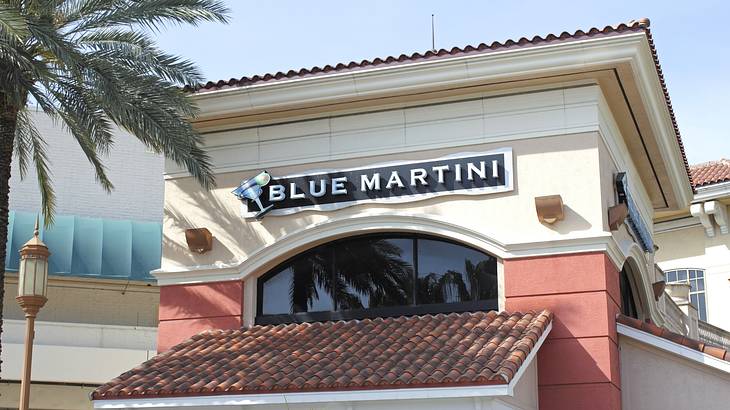 One of the fun things to do in Fort Lauderdale at night is going to Blue Martini