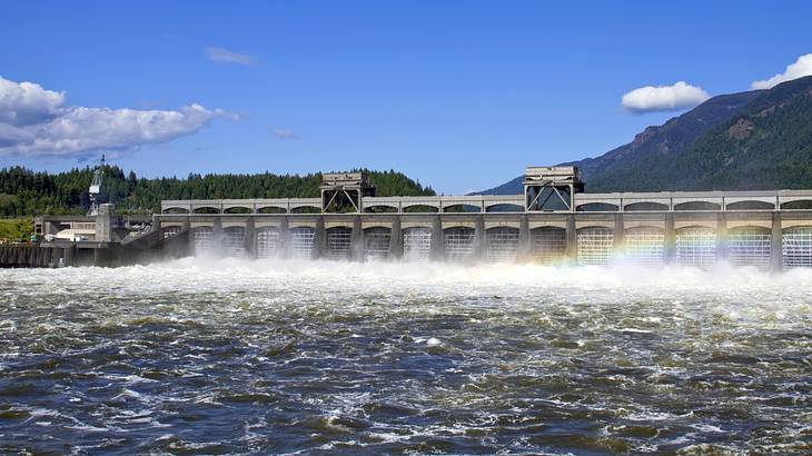 A hill with green trees and a blue sky above in the background of a dam