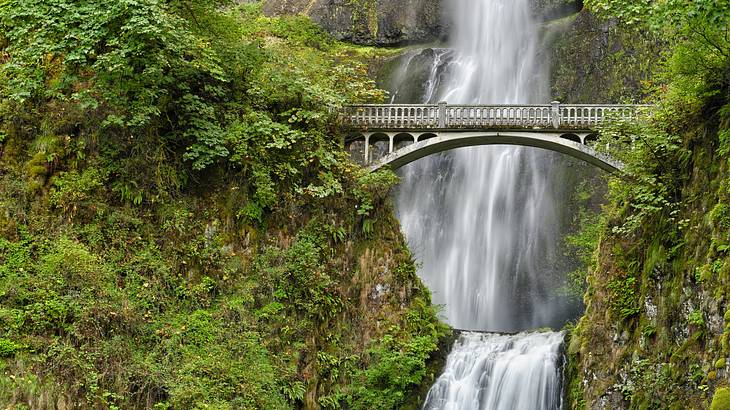 Waterfalls at the back of a concrete arch bridge surrounded by greenery