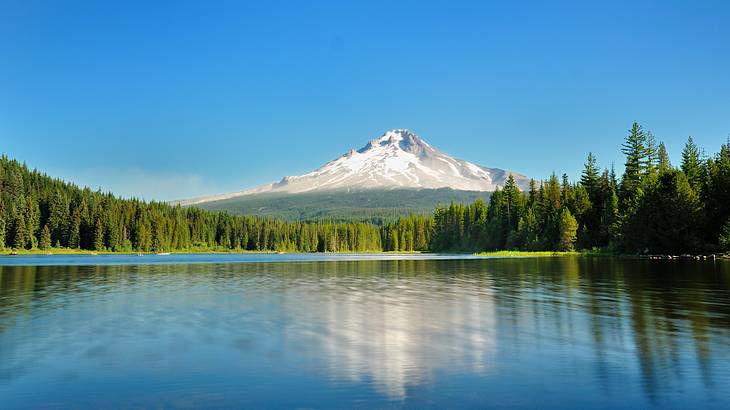 Pine trees and a lake at the foot of a snow-covered mountain against a clear sky