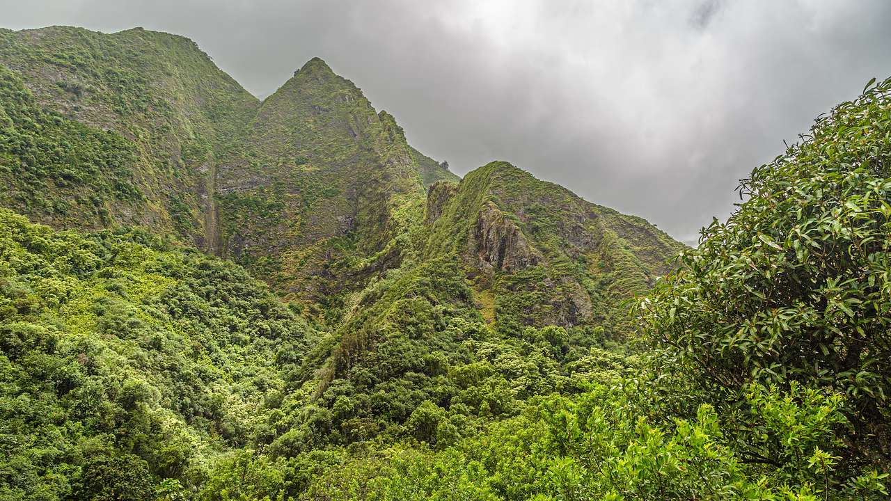 Several mountains covered in greenery on a cloudy day