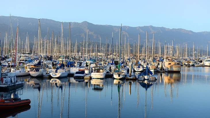 Rows of boats parked in the water with a mountain range in the background