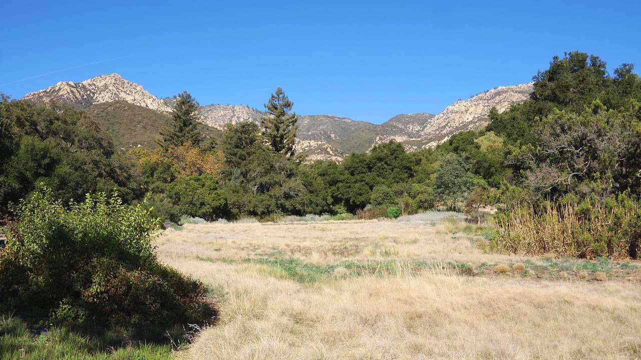 A mountain range next to grass and bushes under a blue sky