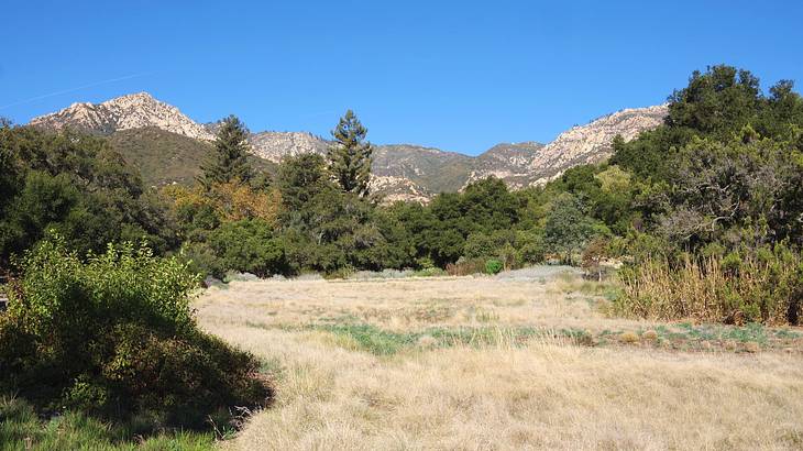 A mountain range next to grass and bushes under a blue sky