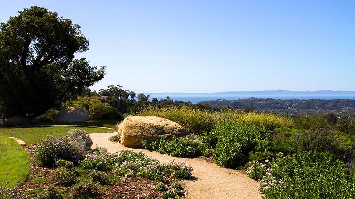 A garden with different plants, a winding path, a few trees, and a view of the city